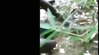 Classic:Girl decapitated by cartel