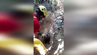 Decapitated girl unearthed