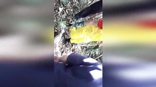 Decapitated girl unearthed