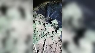 Three Bodies Recovered From Excavation Site in Zimbabwe