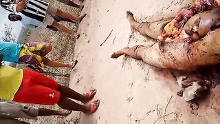 Classic:Man is disemboweled and decapitated