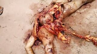 Classic:Man is disemboweled and decapitated