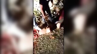 Classic: Cartel decapitates and dismembers man: graphic scenes