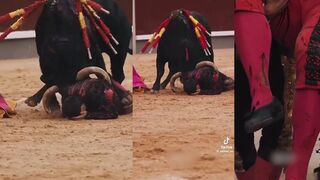 Bull injures banderillero Raúl Ruiz