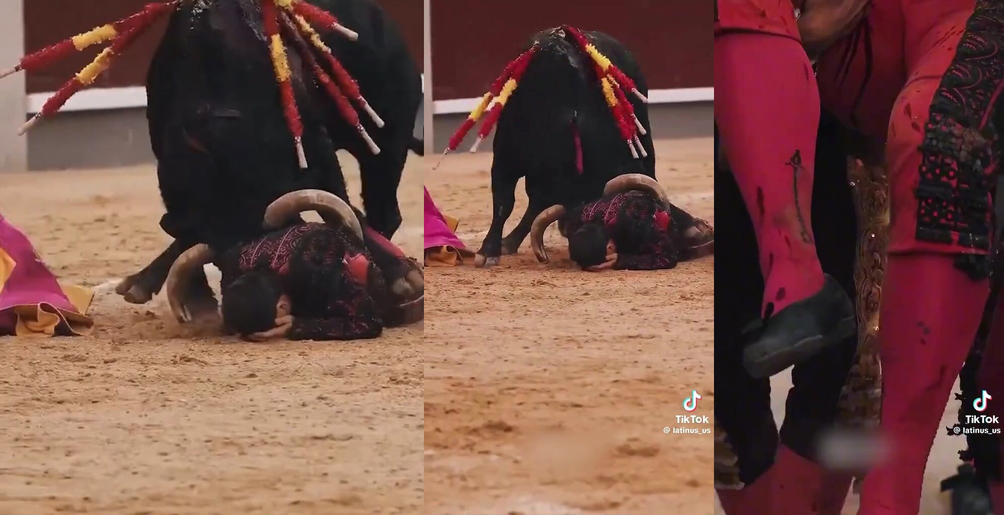 Bull injures banderillero Raúl Ruiz