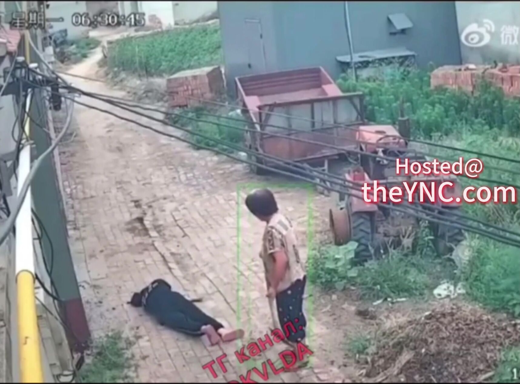 Classic: The Old Woman Beat People To Death With A Shovel Buried Alive Again