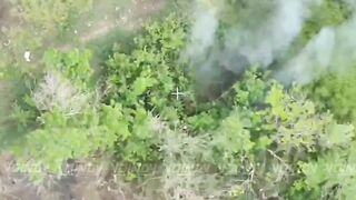 Ukrainian assault ends quickly.
