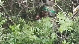 Ukrainian assault ends quickly.