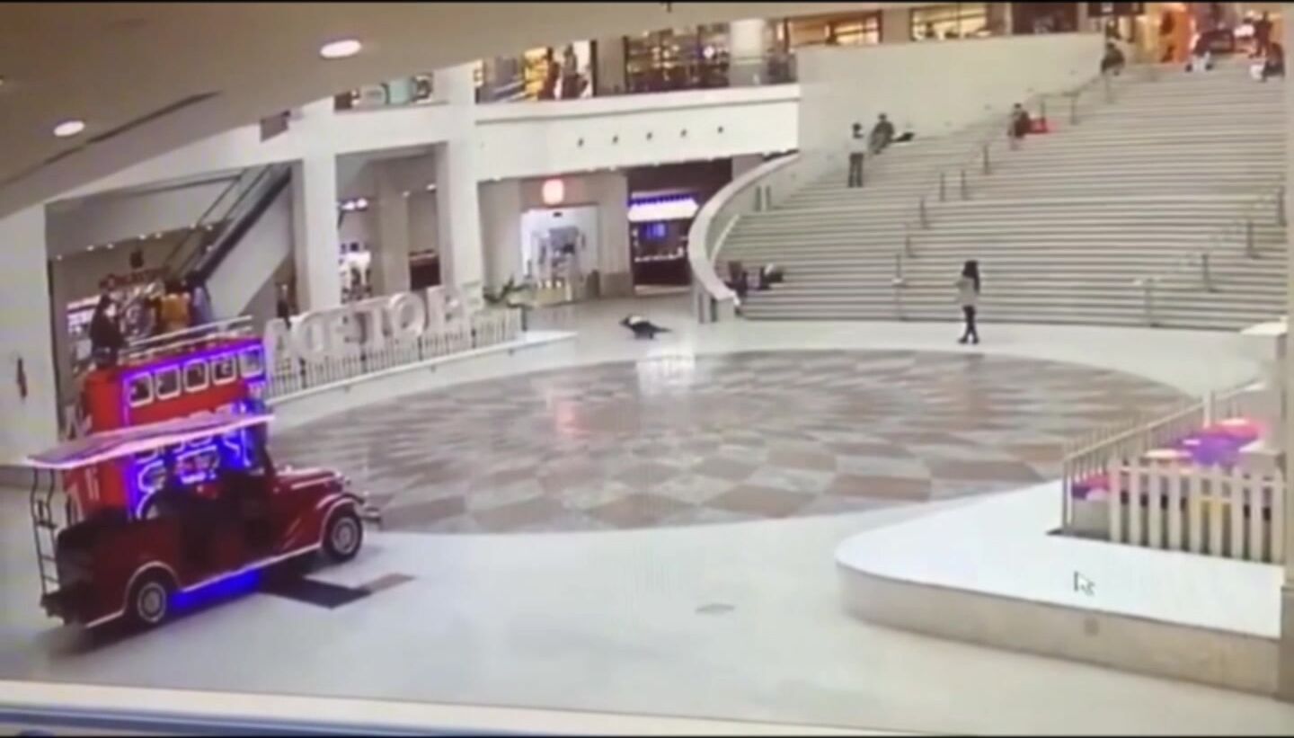 Classic: Suicide By Jumping From A Shopping Center
