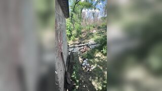 Frontline Dog Kennel Gets Free Access to Russian Meat