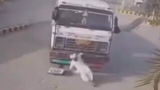 Truck Loaded With Iron Rods Takes Old Man`s Life In India