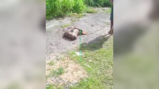 Man's dismembered body