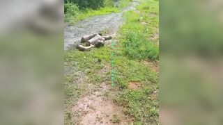 Man's dismembered body