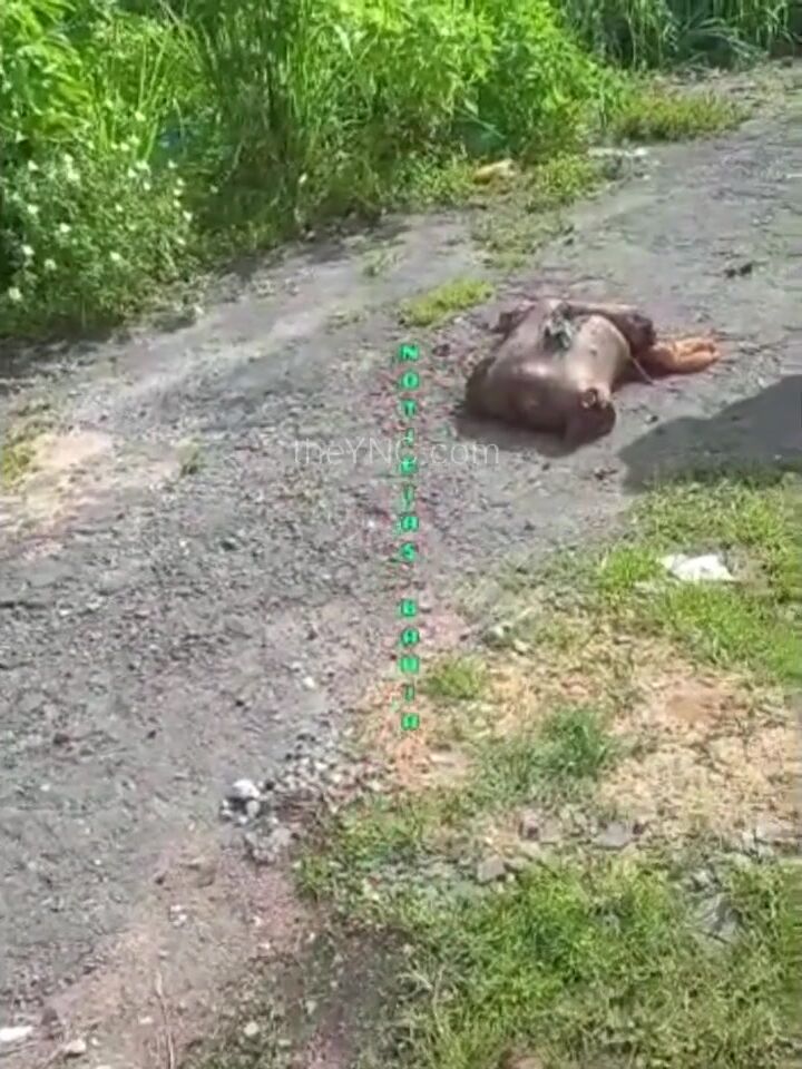 Man's dismembered body