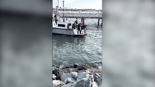 Fishing In San Diego Is Different