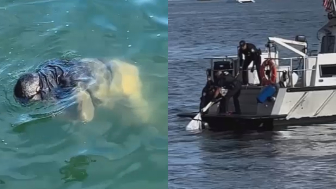 Fishing In San Diego Is Different