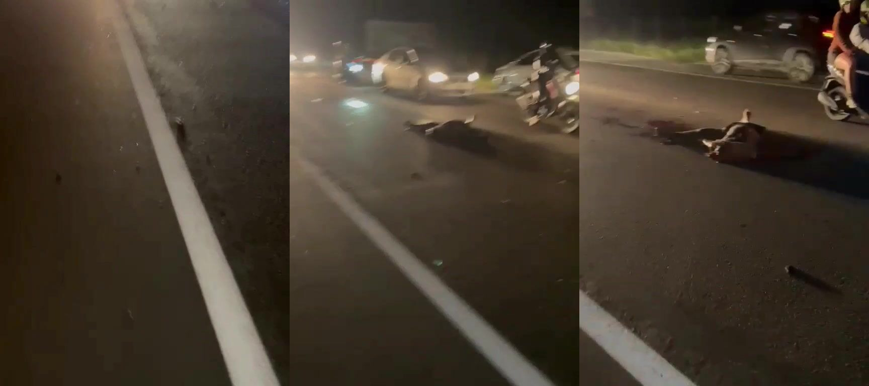 Hit And Run Driver Left Victim With A Skull Shattered