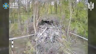 More Russhits were eliminated by Alpha.