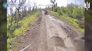 More Russhits were eliminated by Alpha.