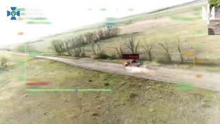 More Russhits were eliminated by Alpha.