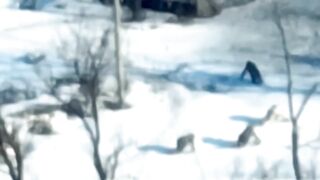 A compilation video of Russians being killed in the war
