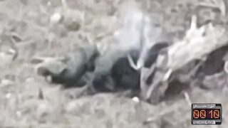 A compilation video of Russians being killed in the war