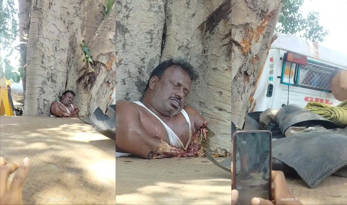 Truck crushes man against tree