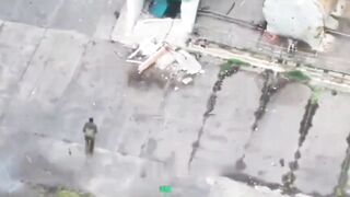 Occupier’s upper body flew onto roof of shed after being struck by drone