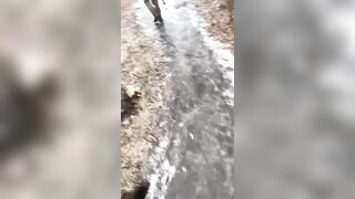 Russian Toddler Patrol Finds Piles of Chopped Comrades