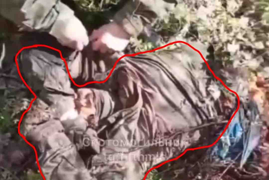Colombian mercenary cut in half, hard as a rock.