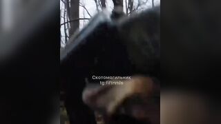 Francisco, Colombian mercenary captured + Hard info