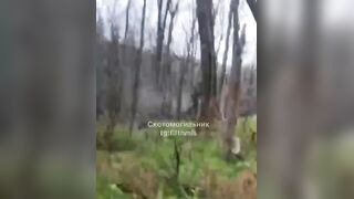 Francisco, Colombian mercenary captured + Hard info