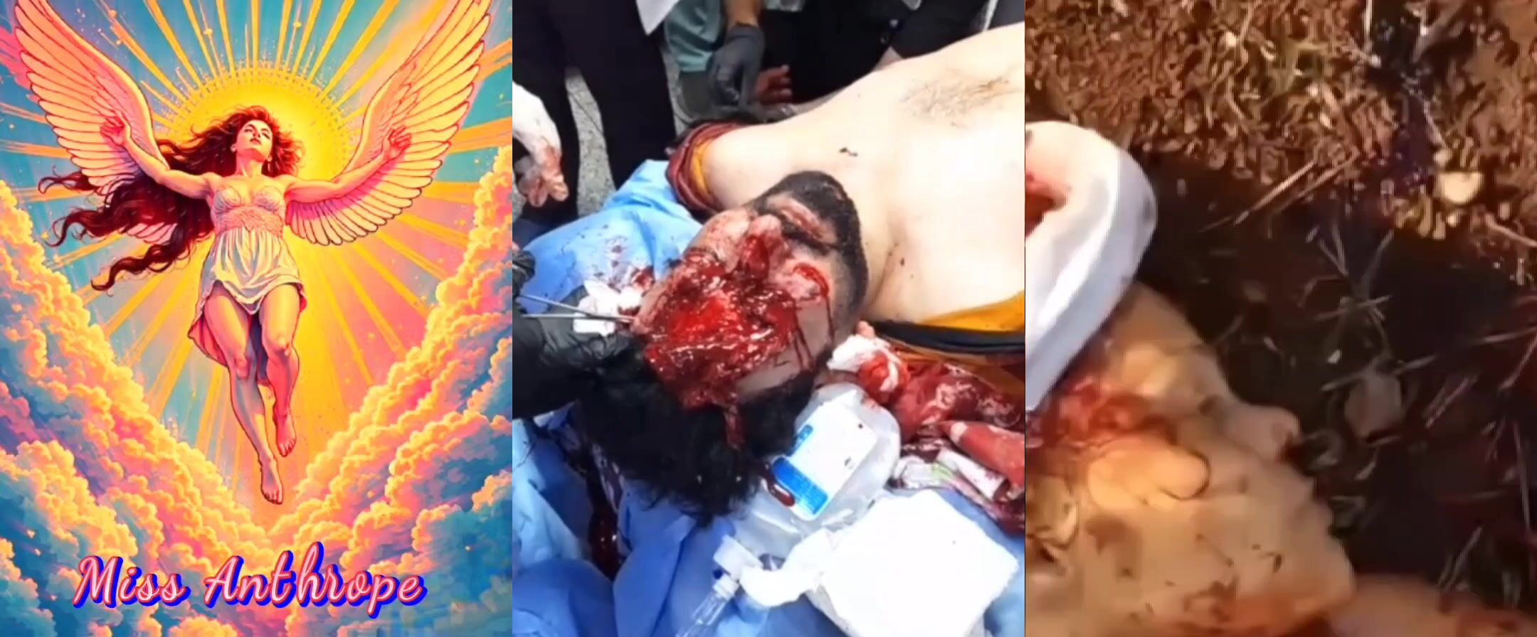 Gore Compilation