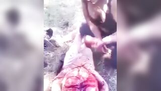 Gore Compilation