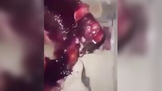 Gore Compilation