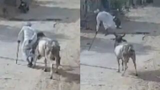 Old Man Dies Following Bull Attack In India