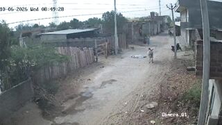 Old Man Dies Following Bull Attack In India