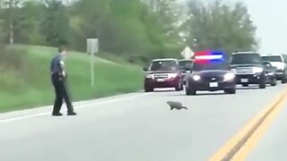 Relaxing comp.(ACAB)