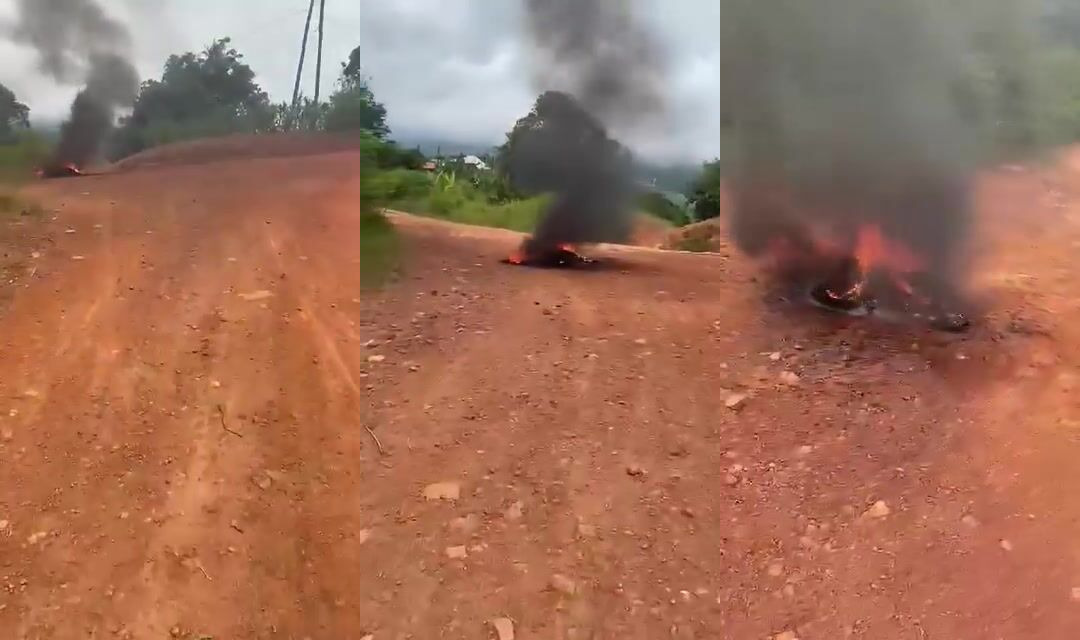 Thief burned alive