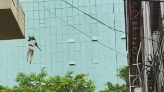 They Keep On Jumping In China