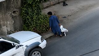 Young Man Running From Stray Dogs Ragdolled By Truck