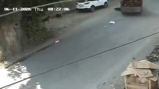 Young Man Running From Stray Dogs Ragdolled By Truck