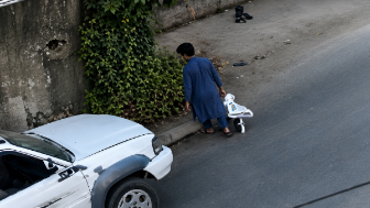 Young Man Running From Stray Dogs Ragdolled By Truck