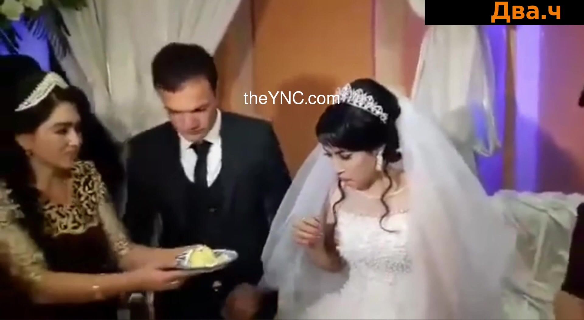 Classic: Lovely Time at the Wedding