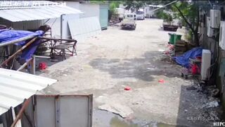 Classic: The Dog Killed The Old Woman