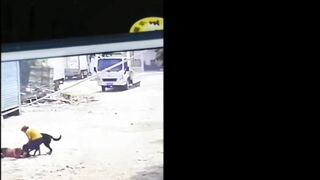 Classic: The Dog Killed The Old Woman