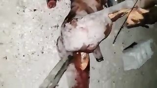 Butcher service