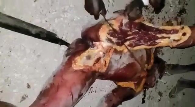Butcher service
