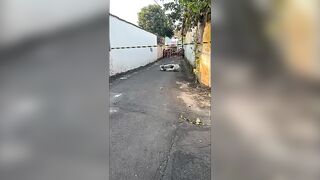 Dismembered body found
