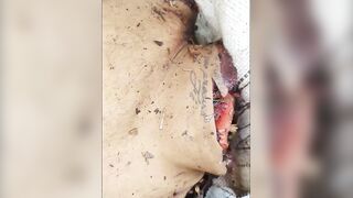 Dismembered body found